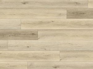 Paradigm Performer Oats 9 x 60